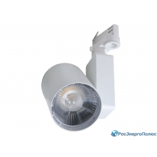 Светильник светодиодный (LED) COPER/T LED 30 W D45 4000K (1437000270) Светильник светодиодный (LED) COPER/T LED 30 W D45 4000K (1437000270)